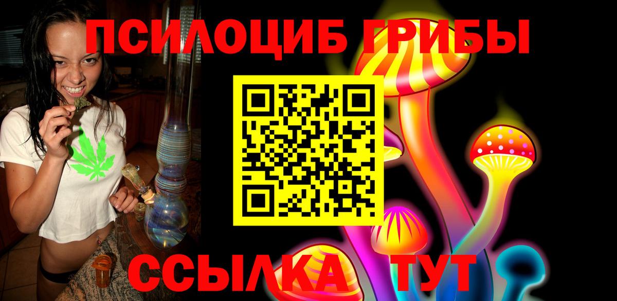 Псилоцибиновые грибы Psilocybine cubensis Ростов Великий
